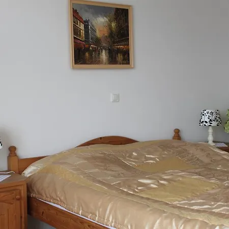 Hotell Ingrid Panzio Bük