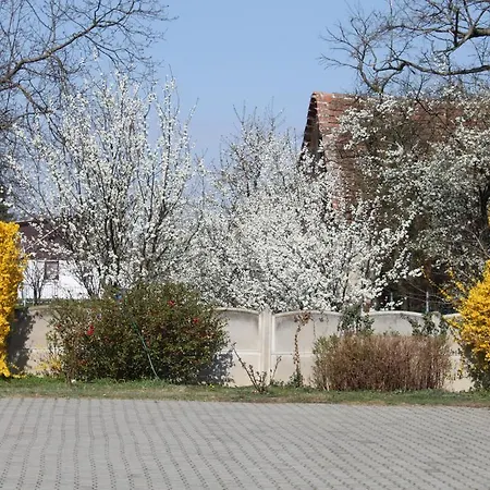 Ingrid Panzio Hotell