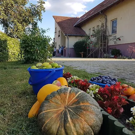Ingrid Panzio Otel