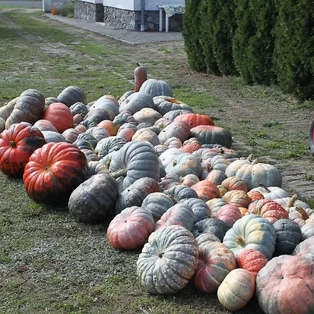 Ingrid Panzio Hotell 3*