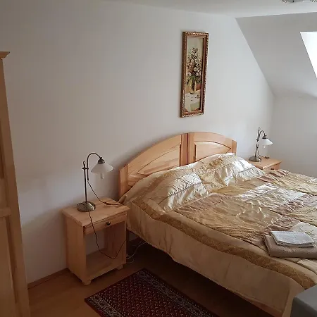 Hotell Ingrid Panzio Bük