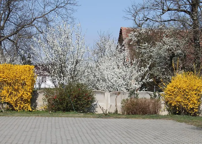 Ingrid Panzio Hotel