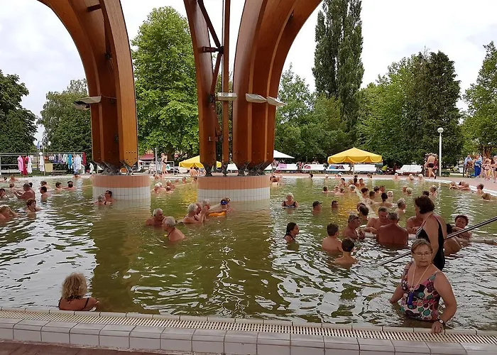 Ingrid Panzio Hotel Bük